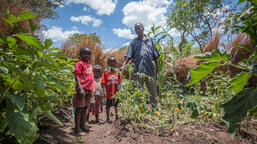 How is Caritas Czech Republic in Zambia protecting our planet