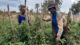 I am proud to work with Caritas, says Muyunda Masiye, a lead farmer in Mayukwayukwa refugee settleme