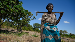 Best of 2022 in Caritas Czech Republic in Zambia 