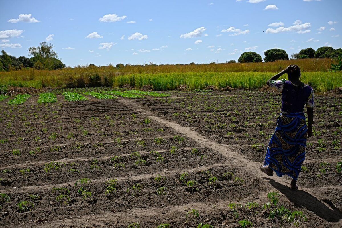 Agriculture Agriculture