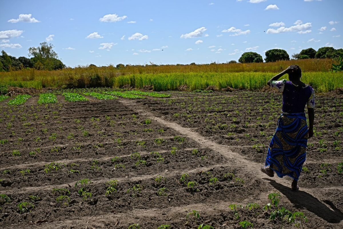 Agriculture