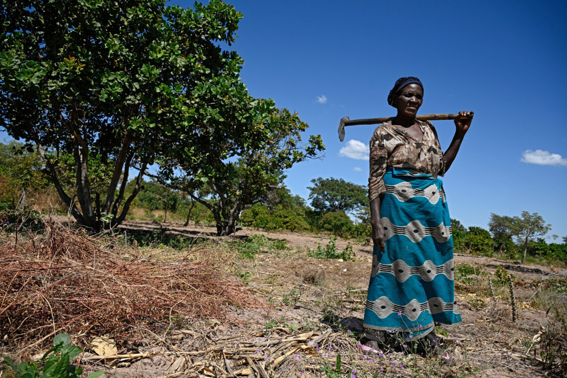 Extreme drought in Zambia is threatening livelihoods